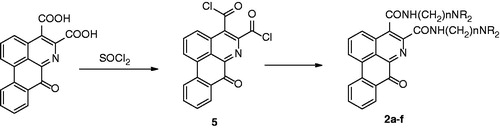 Figure 3. Synthesis of disubstituted derivatives. Reagents and conditions: (1) SOCl2/C6H6; (2) NH2 (CH2)nNR2/Et3N.