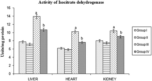 Figure 5. Effect of Butea monosperma bark on isocitrate dehydrogenase in normal and diabetic rats. The data are expressed as mean ± SD. ap < 0.05 compared to the normal control group; bp < 0.05 compared to the diabetic control group.