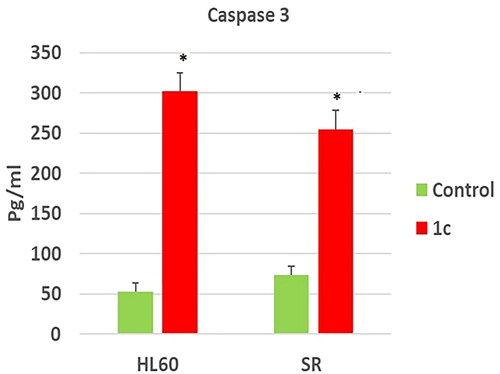 Figure 12. Effects of compound 1c on caspase 3 level in HL60 and leukaemia SR cells. Values are reported as mean SEM. * P < 0.05 indicates significant difference from the untreated control using unpaired student t test.