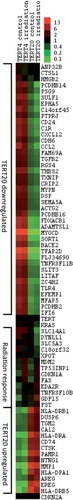 Figure 2. Heat map of those genes showing more than a five-fold altered regulation of expression levels, measured using the Affymetrix Human Exon array chip. Clustering analysis was achieved with Gene Cluster 2.11 using Pearson's correlation and complete linkage and visualised with Java Treeview. Hierarchical clustering of the data with median centred genes and complete linkage; red is up-regulated and green is down-regulated compared to the mean of the individual gene's expression levels. The genes TERT, CDKN2A and K-RAS were included as controls with known expression patterns.