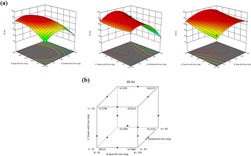Figure 2. (a) Response 3D plots and (b) cube plot for the effect of cholesterol (X1), Span 60 (X2) and stearic acid (X3) concentrations on the entrapment efficiency percent (Y1).