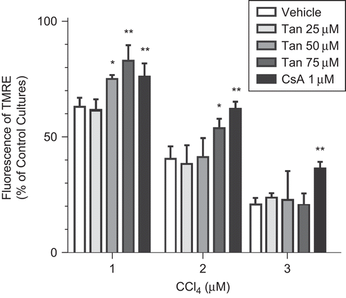 Figure 3.  The effects of Tan IIA on CCl4-induced decrease of the mitochondrial transmembrane potential (MMP) of rat primary hepatocytes (n = 8). CsA was referred to as the positive control. Significant difference from (vehicle) control cultures, *p < 0.05; **p < 0.01.