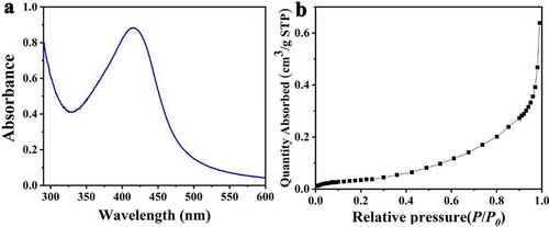 Figure 2. a: UV-Vis spectra of L-AgNPs; b: N2 adsorption-desorption isotherms of L-AgNPs.