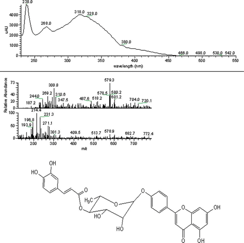 Figure 1 UV-Vis absorption spectrum, mass spectrum, and suggestive structure of an esterified apigenin glycoside. (Color figure available online.)