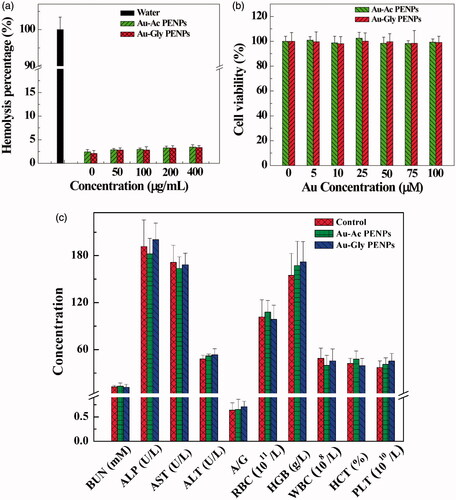Figure 2. (a) Haemolytical activity of Au-Ac-PENPs and Au-Gly-PENPs under different concentrations. (b) MTT assay of the viability of SKOV-3 cells treatment with Au-Ac-PENPs and Au-Gly-PENPs at the Au concentrations of 0–100 μM for 24 h. (c) Haematology and blood biochemistry data of the mice treated with saline (control group), Au-Ac-PENPs, and Au-Gly-PENPs.