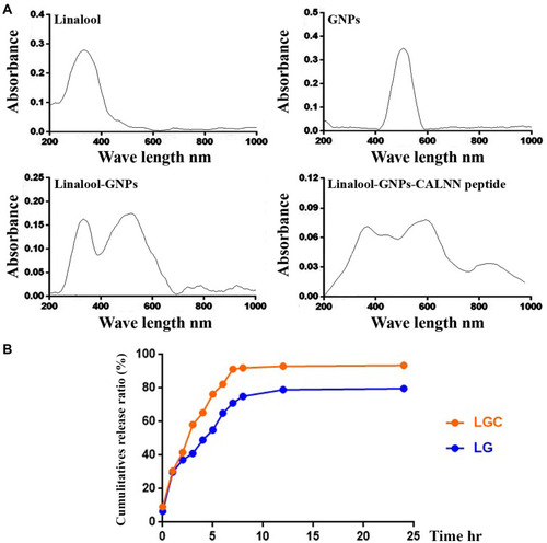Figure 2 Characterization of of the synthesised compounds. (A) UV-VIS spectroscopy analysis of linalool, gold nanoparticles, LG, and LGC. (B) Drug release profile of LG and LGC.