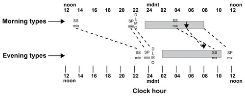 Figure 1 The mean times for the morning and evening type groups of their typical sleep period (horizontal shaded bars), of their subjective sleepiness minimum (SSmn) and maximum (SSmx), objective sleep propensity maximum (the maximum sleep in the 15-minute hourly sleep opportunities, SPmx and sleep propensity minimum (SPmin), dim light urinary melatonin onset (DLMO), and core temperature minimum phase, Tmin (down arows). The same phase markers for the two groups are connected with thin dashed lines so that the slopes of the connecting lines can indicate the relative differences between the two groups. It can be seen that the circadian and sleep timings are all about 2–3 hours later for the evening types. However, the subjective sleepiness phases show the greatest differences between groups. The morning types feel least sleepy in the early afternoon and the evening types least sleepy or most alert in the late evening, only a few hours before their typical bedtimes. The morning types then feel most sleepy before their Tmin (down arrow) but the evening types feel most sleepy after their Tmin at about their typical wake time.