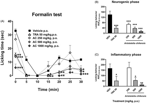 Figure 3. Temporal course curves (A) and dose-response (AUC) antinociceptive effects of A. chilensis freeze-dried (AC) and tramadol (TRA, reference drug) after enteral administration on the neurogenic (B) and inflammatory (C) phases of the 1% formalin intraplantar in mice compared to the vehicle. A two-way ANOVA followed by Bonferroni’s post-hoc test for temporal course curves and a one-way ANOVA followed by Dunnett’s post-hoc test for dose-response data. *p < 0.05, **p < 0.01 and ***p < 0.001, n = 6 repetitions.