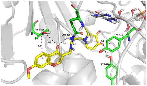 Figure 6. Best docking poses of compound 17d at the active site of MAO-B. The most relevant interacting residues are presented in green carbons polytube, FAD cofactor is shown as grey carbons polytube and ligands as yellow carbons polytube.