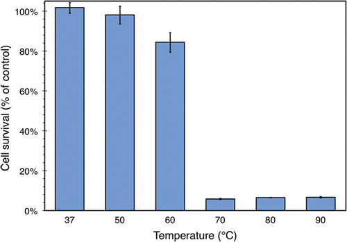 Figure 7. Survival of ZR75.1 human breast cancer cells after 1 min of heating, expressed as a percentage of a control sample that was not heated. Cell survival was measured using an MTS assay. The temperature indicated is that of the water bath used to heat the samples, although the internal temperature of the samples themselves had settled to the within 1°C of this value by the end of the heating process. The values plotted here are averaged over 3 samples from one run of the experiment described in the text. Standard deviations are indicated with error bars.