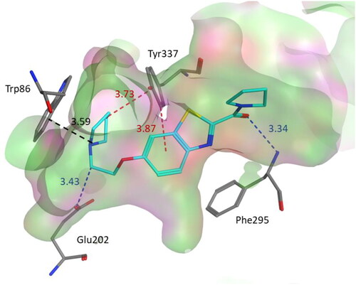 Figure 5. Binding mode of compound 3b within the AChE active site (PDB code: 4EY5). 3b was docked into the active site of AChE using MOE. In the binding model, compound 3b is anchored between amino acids Phe295, Tyr337, Glu202 and Trp86. It formed cation-pi interaction with Trp86. In addition, we found two CH–π interactions involving Tyr337 and two hydrogen bond interactions with Glu202 and Phe295. Dashed lines indicate the interactions and distances between the heavy atoms are given in Å.