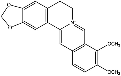 Figure 1. The structure of BBR (chemical formula: C20H18NO4, molecular weight: 336.36).