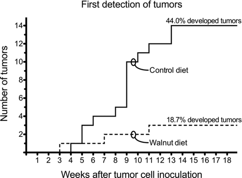 Figure 2  Tumor onset and number of animals that developed tumors in the control and walnut diet-fed mice. The first tumor appeared in the control diet-fed animal during week 3. Thereafter, only two other mice developed overt tumors so 3 of 16 mice (18.7%) had a tumor at the conclusion of the study. Conversely, the first tumor in a walnut-fed mouse was detected during the fourth week. Thereafter, there was a steady increase in the number of mice that developed tumors until the 14th week of the study when 14 of 32 mice (44.0%) had a subcutaneous prostate cancer. These data were independently analyzed by WEH and William W. Morgan using the following procedures: Chi-square test with the Yates correction and two-tailed Fisher's exact test. Using these procedures yielded no statistically significant differences. There was agreement that the small number of tumors (three each) in the walnut-fed animals negated statistical differences.