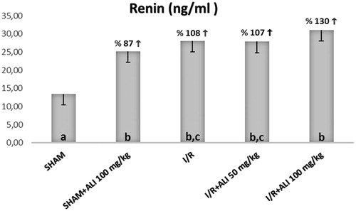 Figure 6. Effect of aliskiren treatment on serum renin levels in rats. Notes: ALI: aliskiren, I/R: ischemia/reperfusion. Means in the same column by the same letter are not significantly different to the test of Duncan (p = 0.05). Results are means ± SD.