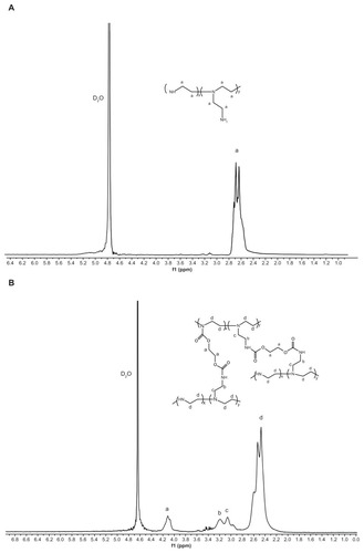Figure 2 1H-NMR spectra of PEI 800 Da (A) and PEI-Et (B).Abbreviations: 1H-NMR, proton nuclear magnetic resonance; PEI, polyethylenimine; PEI-Et, PEI derivative with ethylene biscarbamate linkage.