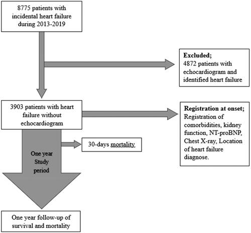 Figure 1. A flow chart illustrating the inclusion of heart failure patients without echocardiogram from the onset heart failure and the follow-up period of one year during the period 2013–2019.