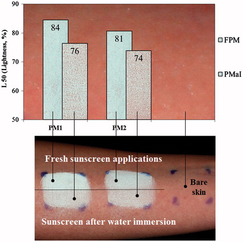 Figure 6. Skin whiteness resulting from sunscreens applied on dry skin and cross-polarized images of two sunscreens (PM1 and PM2) applied to the volar forearm of a subject. Fresh sunscreen applications with 30 min air drying (FPM) and sunscreen after 40 min water immersion (PMaI).