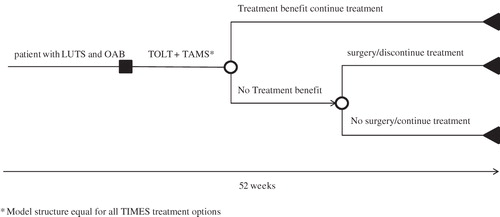 Figure 1.  Decision tree model structure for the TIMES study treatment options. LUTS, lower urinary tract symptoms; OAB, overactive bladder; TAMS, tamsulosin; TOLT, tolterodine. *Model structure equal for all TIMES treatment options.