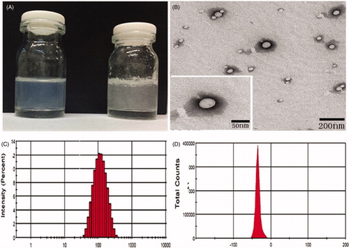 Figure 2. (A) Solubility of EVO (physical mixture EVO and EVO-PLGA NPs) in PBS (pH = 7.4); EVO (5 mg) was insoluble in PBS (pH 7.4), while EVO-PLGA NPs were fully soluble in aqueous solution; (B) TEM images of EVO-PLGA NPs; (C) and (D) particle size distribution and zeta potential of EVO-PLGA NPs.