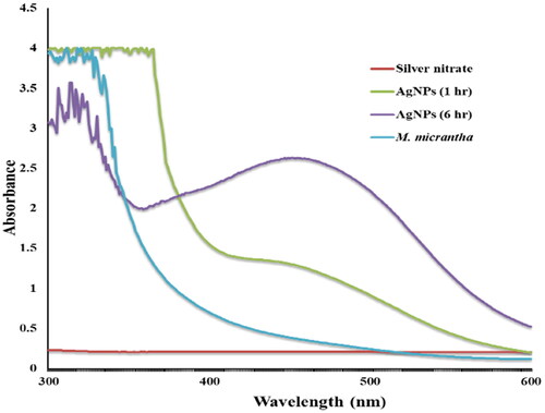 Figure 2. UV-Vis absorption spectra of biosynthesized AgNPs using M. micrantha leaf extract at different time intervals.
