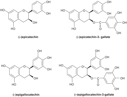 Figure 1.  Structure of catechins.