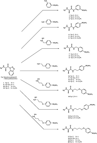 Scheme 1. Synthesis pathways of the new sulfonamide conjugates of N-protected amino acids.