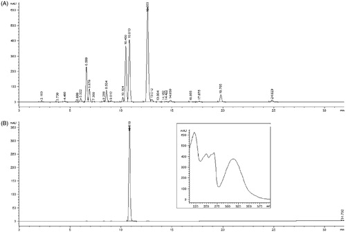 Figure 1. HPLC chromatogram of the crude extract from Heracleum leskovii (A) together with the isolated compound and its UV-DAD spectrum (B) (λ = 254 nm).
