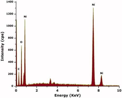 Figure 5. Elemental composition using energy-dispersive spectroscopy (EDS).