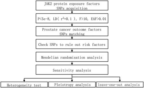 Figure 1. Experimental procedure of Mendelian randomization method applied to the causal relationship between JAK2 and prostate cancer.