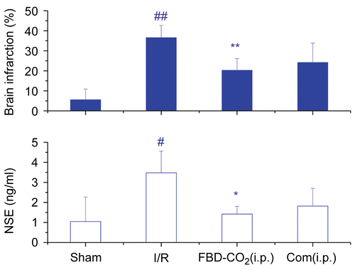 Figure 5.  Effects of FBD-CO2 and its six compounds combination on brain infarction and circulating NSE efflux in ICR mice subjected to cerebral repetitive I/R. Each column represents mean ± SD of 6 mice. NSE, neuron specific enolase; I/R, ischemia-reperfusion; #p<0.05, ##p<0.01 vs the sham-operated group; *p<0.05, **p<0.01 vs the saline-pretreated I/R group.