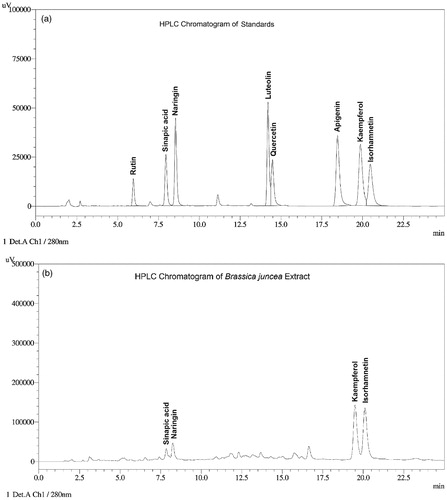 Figure 1. HPLC chromatogram of: (a) polyphenols standard and (b) a hydrolyzed sample of the methanol Brassica juncea leaf extract.
