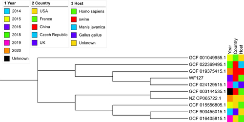 Figure 4 Evolutionary tree of 10 strains of Proteus penneri.