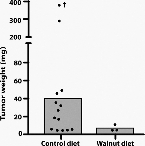 Figure 4  This figure depicts the final tumor weights in the control-fed and walnut-fed animals at the conclusion of the study. The value identified with a † was estimated and was not used to calculate the mean tumor weight; it was found in a mouse that had been dead for a number of hours. The histograms indicate the mean tumor weights. As with the tumor volume, because of the small number of tumors that grew in the walnut fed mice (three each) and due to the large variation in tumor size, the median tumor weights did not differ between the groups when tested using either the Mann–Whitney U or Kruskal–Wallis tests.