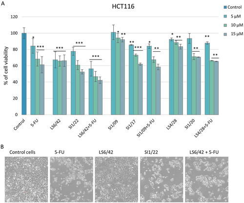Figure 3. Effect of 5-FU, HO-1 inhibitors, hybrids, and combo treatment on HCT116 cell viability and morphology. (A) Evaluation of cell viability by MTT assay after 72 h of treatment using different concentrations of the drugs. The results represent the mean ± SD of almost three separate experiments done in triplicate. Significant vs untreated control cells: *p < 0.05; **p < 0.01; ***p < 0.001. (B) Representative images of HCT116 cells after 72 h of treatment with 15 µM of the compounds. Cells were visualised under a light microscope (200× magnification) and the pictures were acquired by IM50 Leica Software (Leika Microsystems, Wetzlar, Germany).