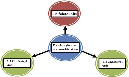Figure 7. Schematic presentation of pullulan glucose unit modifications.
