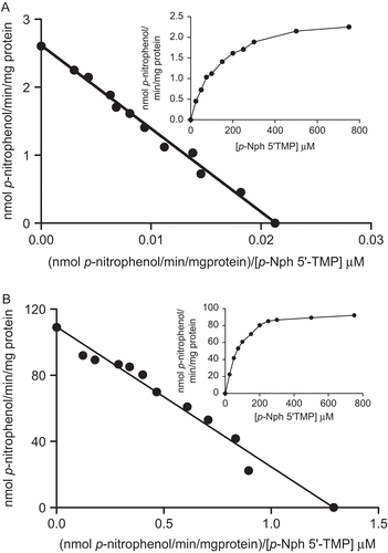 Figure 4.  Eadie–Hofstee plot for p-Nph-5′-TMP hydrolysis. The nucleotide hydrolysis as function of substrate concentration from rat cardiac soluble (A) and microsomal (B) fractions is shown in the insets. The mean KM values calculated for p-Nph-5′-TMP hydrolysis were found to be 118.5 ± 27.2 µM and 91.9 ± 12.4 µM, respectively, and Vmax value calculated in soluble and microsomal fractions were 2.52 ± 0.1 and 113.87 ± 21.1 nmol p-nitrophenol/min/mg, respectively. Data are expressed as mean ± SD, n = 4.