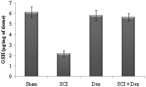 Figure 4. Effect of SCI and Dex on non-enzymic antioxidant level in kidney tissue. The GSH level was expressed µg/mg of tissue. Values are mean ± SD for 10 rats in each group. Comparisons are made between (a) sham and SCI and (b) SCI and SCI + Dex. *Statistically significant (p < 0.05).