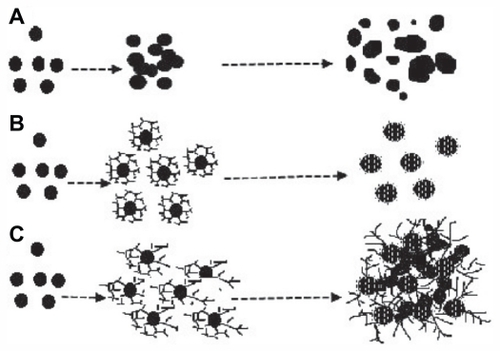 Figure 5 Scheme representing proposed formation of colloidal silver nanoparticles without PGA (A) with optimal (B) and excessive (C) concentration of PGA.Abbreviation: PGA, poly-α, γ, L-glutamic acid.