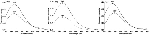 Figure 6. Intrinsic tryptophan fluorescence of falcipain-2 in the absence (solid line) and in the presence (dashed line) of the three best inhibitors: compound 48 (A), compound 54 (B) and compound 66 (C). Spectra represent a mean of three scans from two different experiments.