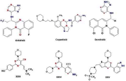 Figure 4. Structure of some reported PI3K inhibitors.