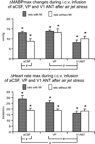 Figure 3 Maximum changes in mean arterial pressure (ΔMABPmax) and heart rate in response to the air jet stress in rats with and without the MI subjected to i.c.v. infusions of aCSF, arginine VP or VP V1ANT. Number of rats in the groups: sham CSF—9, sham VP—8, sham V1ANT—8, infarct CSF—8, infarct VP—8, infarct V1ANT—8. Means ± standard errors are shown. *—significant difference from baseline, #—significant difference between the corresponding groups. The results were considered significant if P < 0.05.
