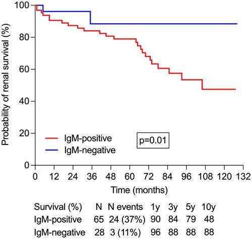 Figure 2. Patients with mesangial IgM positivity at immunofluorescence had a shorter mean renal survival time: 90.3 (95%CI 78.8, 101.7) versus 116.1 (95%CI 103.3, 128.8) months.