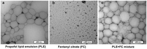 Figure 3. TEM micrographs of porpofol lipid emulsion, fentanyl citrate, and their mixture.