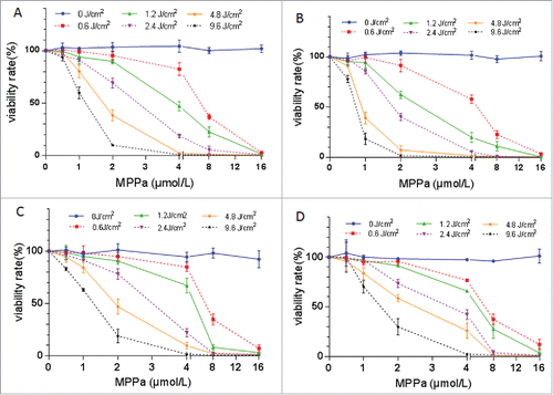 Figure 2. Cytotoxicity of the combination of MPPa and light (i.e., PDT) on A549 (A), A549/DDP (B), SKOV3 (C), and SKOV3/DDP (D) cells. Based on the cell-survival curve, 2.4 J/cm2 light and 2.0 μM MPPa were employed to perform PDT. Data were mean ± standard deviation for 3 independent experiments.