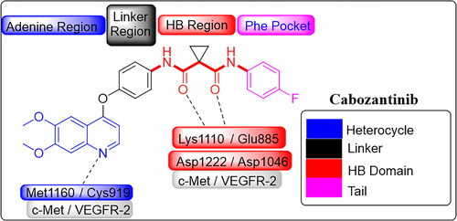 Figure 1. Pharmacophoric elements for dual inhibition of c-Met/VEGFR-2 TKs.