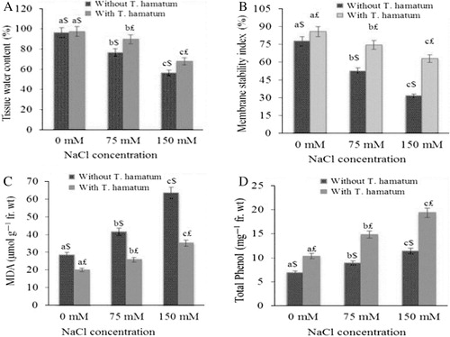 Figure 3. Effect of NaCl in presence and absence of T. hamatum on TWC (A), MSI (B), MDA (C), and total phenol contents (D) in O. baccatus seedlings. Data presented are the means ± SE (n = 5). Different letters indicate significant difference (P < 0.05) among the treatments. Symbols $ and £ denote significant change between with and without T. hamatum within the same treatment.