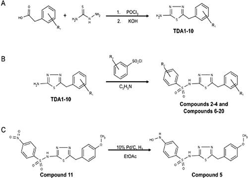 Figure 2.  Synthesis scheme for the OU749 analogs. Synthesis and purification of the synthetic intermediates TDA1-10 (A) was required before synthesis of the OU749 analogs Compounds 2–4 and Compounds 6–20 (B). Synthesis of Compound 5 is derived from Compound 11 (C).