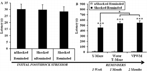 Figure 3.  Results from an IA paradigm designed to induce the initial stressor (electrical footshock) and subsequently reactivate the aversive memory. (A) During the training phase of the IA task, there were no differences in the latency to enter the dark compartment of a shuttle box where a brief footshock was administered. (B) During the IA retrieval trials (reminders), which were conducted 1 week, 1 month, and 2 months after exposure to footshock (IA training trial), longer latencies to enter the dark compartment were exhibited by rats administered the initial footshock relative to rats that were not exposed to footshock during IA training (***p < 0.001). For rats exposed to the footshock and exposed to an IA retrieval trial, latencies to enter the dark compartment increased from the first reminder relative to the second and third reminders (*p < 0.05). “n” denotes rats that were not administered a footshock during the IA training trial or not reminded of the shock (IA retrieval trials). Group sizes were as follows: non-shocked/reminded (n = 15), shocked/non-reminded (n = 15), shocked/reminded (n = 17). Initial crossover latencies prior to administration of footshock on the IA training trial were examined by ANOVA. Subsequent crossover latencies on IA retrieval trials were examined by repeated measures ANOVA, within-group orthogonal contrasts, and independent sample t-tests. Data are represented as group mean ± SEM.