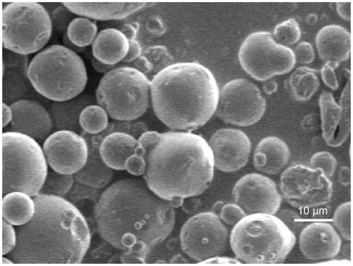 Figure 1. CEQ-loaded PLA microspheres observed by scanning electron microscopy.