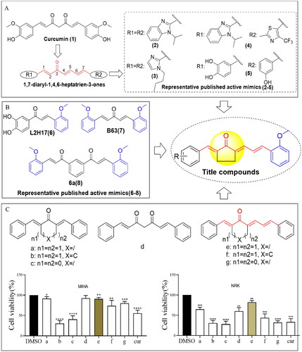 Figure 1. Design of 1,7-diphenylhepta-1,4,6-trien-3-one analogs comprising an o-methoxy phenyl group as anticancer agents. (A) Structure of curcumin and MCAs with anticancer activity featuring the 1,4,6-trien-3-one moiety. (B) Compounds exhibiting anticancer activity containing an o-methoxy phenyl ring. (C) Cytotoxicity of curcumin (cur) and its analog scaffold at 20 µM against MIHA and NRK cells. *p < 0.05, **p < 0.01, ***p < 0.001, ****p < 0.0001 vs. the DMSO group.